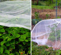 folija-zaštita-za-cveće-privlačenje-sunčeve-svetlosti