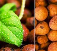 glinene-kuglice-preprati-za-cveće-bašta-hobi