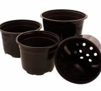 rasadne-saksije-148mm-preparati-za-cveće-f15-saksije-prodaja-za-cveće