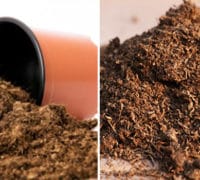 Beli treset beli-treset---djubrivo---cvetnabašta